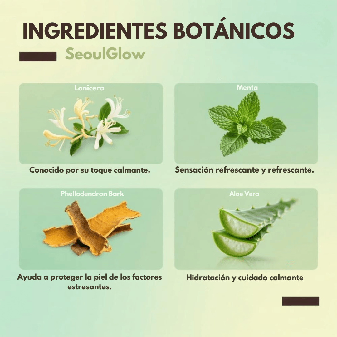 SeoulGlow® Tratamiento Anti Picores y Hidratante PRO – Fórmula 100% Natural - SeoulGlow